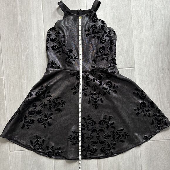 Fairygoth Silver And Black dress Velvet Design Fit and Flare Whimsigoth SZ XL - Picture 10 of 12